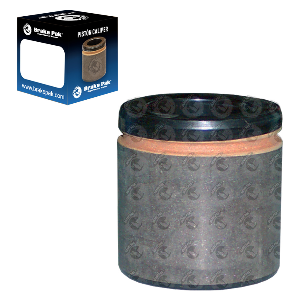 DODGE DAKOTA / FORD F150