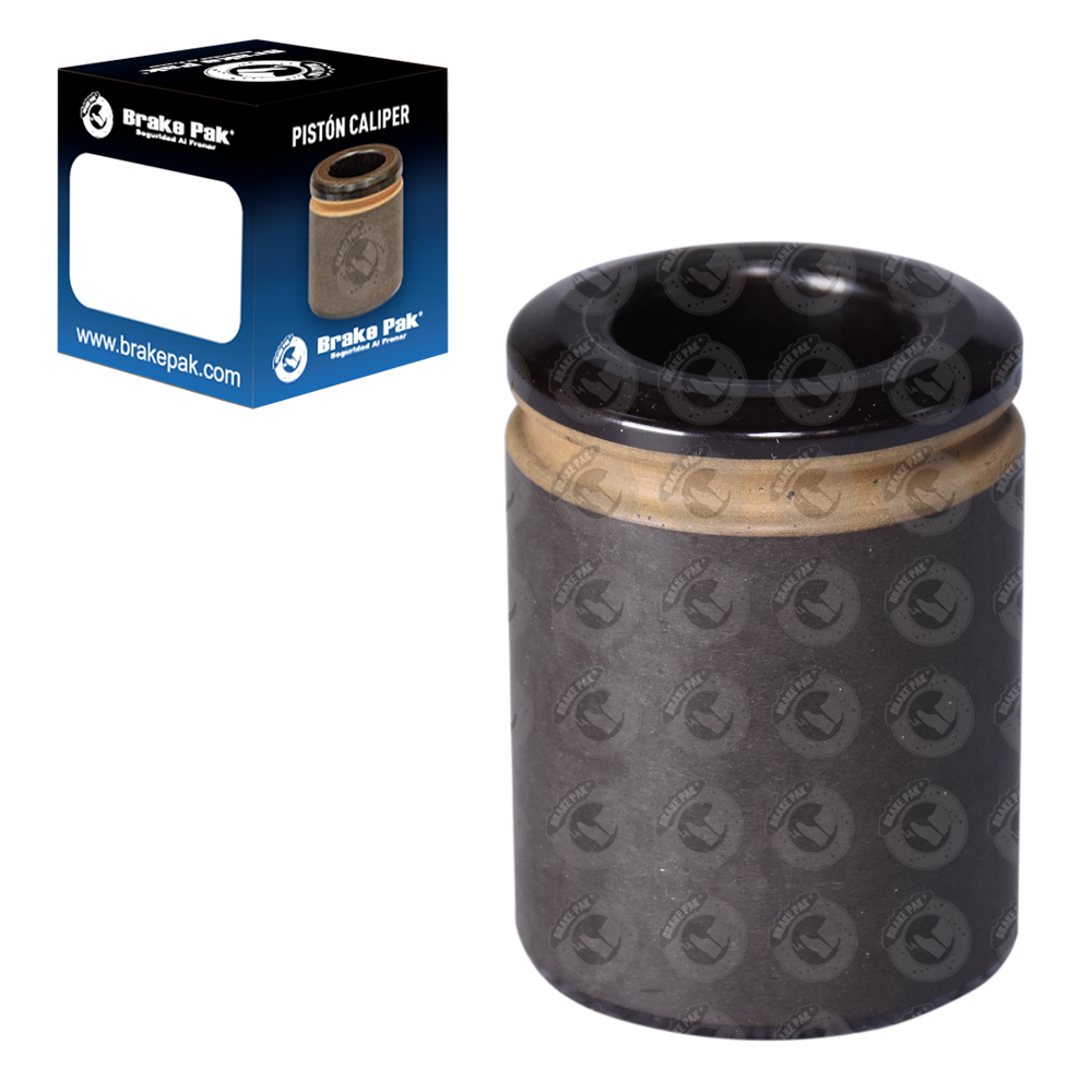 CHEVROLET CAMARO / CHEVROLET CORVETTE / FORD MUSTANG / FORD THUNDERBIRD