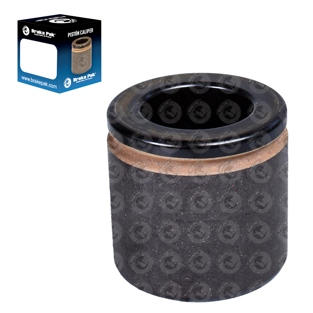 FORD F150 / DODGE DAKOTA